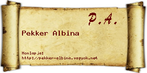 Pekker Albina névjegykártya